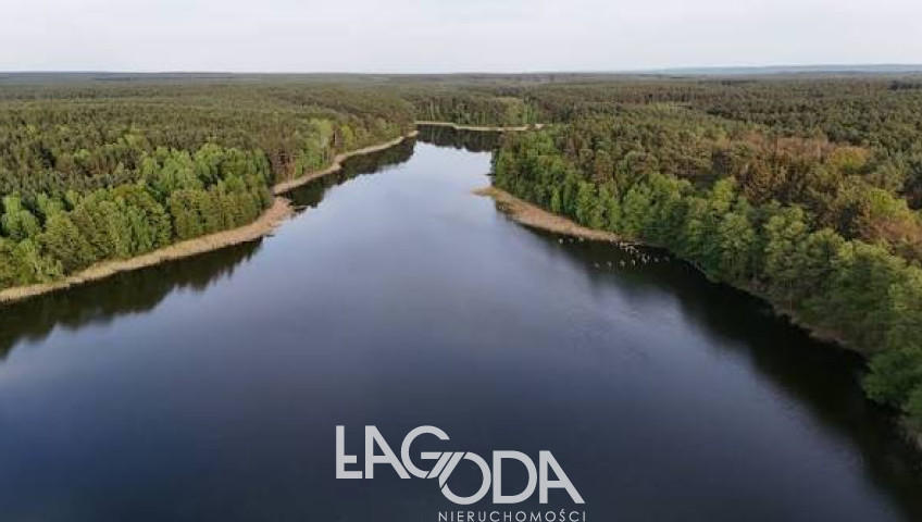 Działka Sprzedaż Sosny