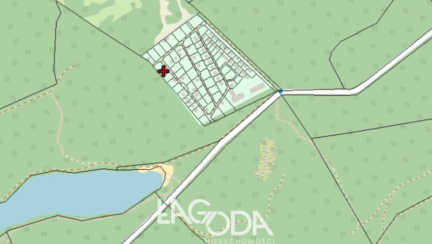 Działka Sprzedaż Sosny