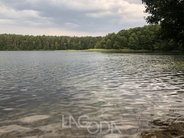 Działki w otoczeniu lasów i jezior