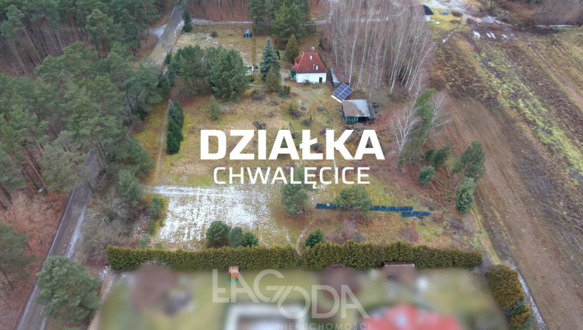 Działka Sprzedaż Chwalęcice Leśna