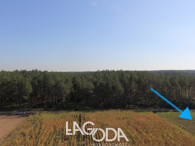 Działka pod lasem w Dziersławicach