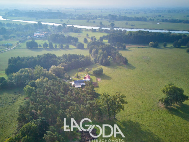 Dom Sprzedaż Podjenin
