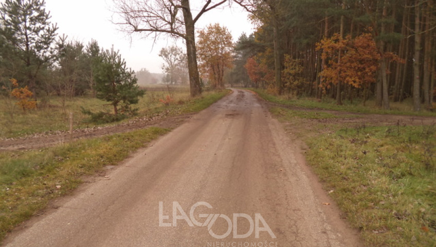 Działka Sprzedaż Goszczanowiec