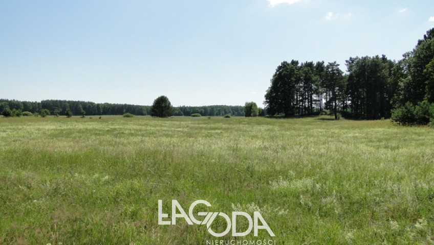 Działka Sprzedaż Łośno