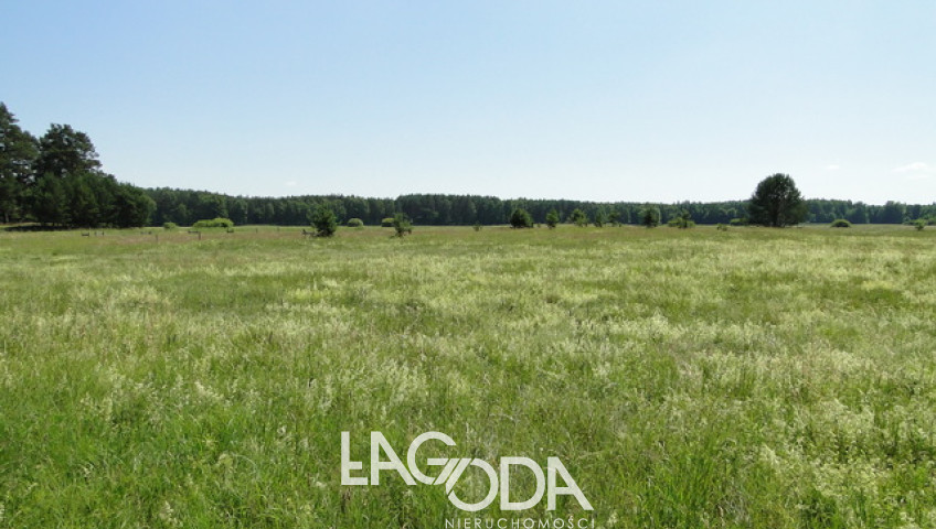 Działka Sprzedaż Łośno