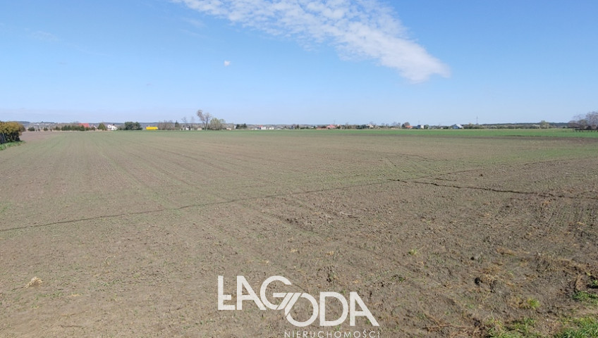 Działka Sprzedaż Gorzów Wielkopolski Zakanale