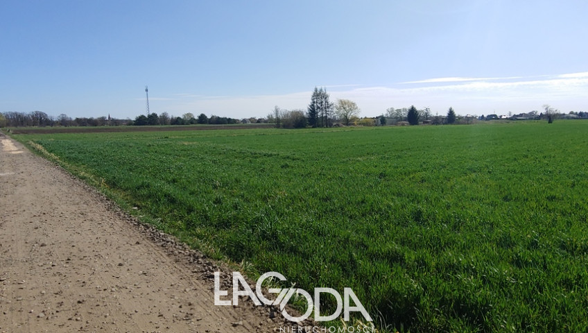Działka Sprzedaż Gorzów Wielkopolski Zakanale