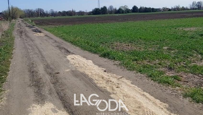 Działka Sprzedaż Gorzów Wielkopolski Zakanale