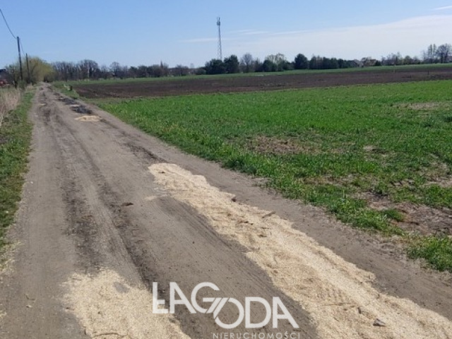 Działka Sprzedaż Gorzów Wielkopolski Zakanale