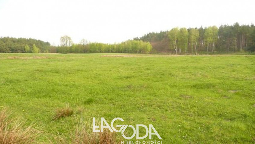 Działka Sprzedaż Kinice