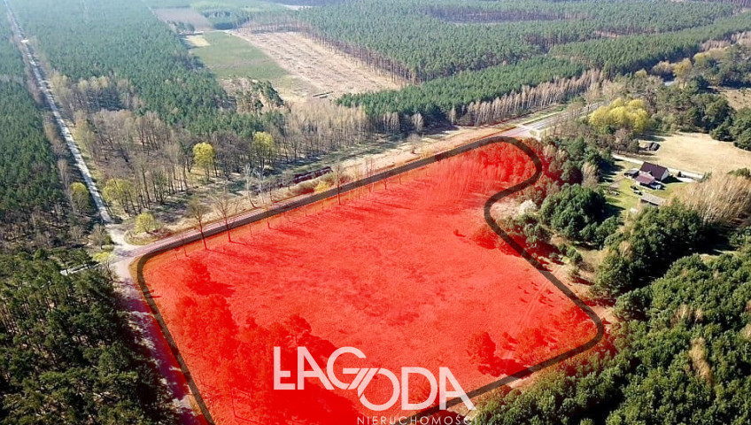 Działka Sprzedaż Krzeszyce