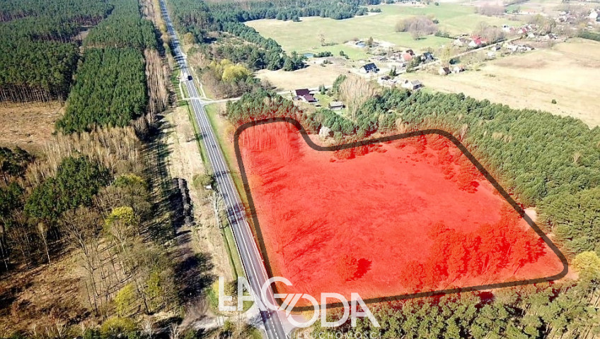 Działka Sprzedaż Krzeszyce