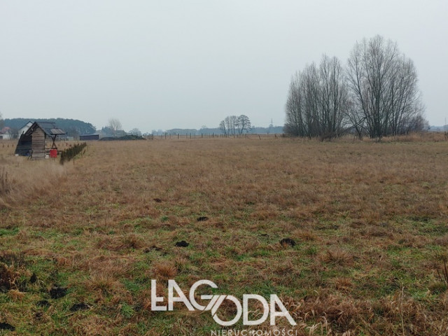 Działka Sprzedaż Łagodzin