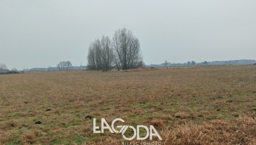 Działka Sprzedaż Łagodzin