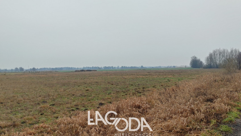 Działka Sprzedaż Łagodzin