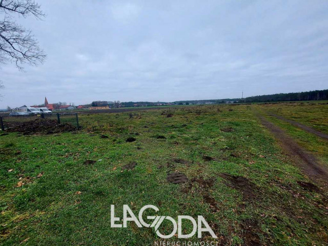 Działka Sprzedaż Białcz
