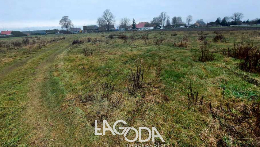 Działka Sprzedaż Białcz