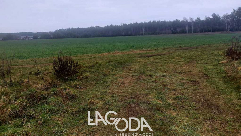 Działka Sprzedaż Białcz