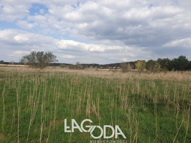 Działka Sprzedaż Łośno