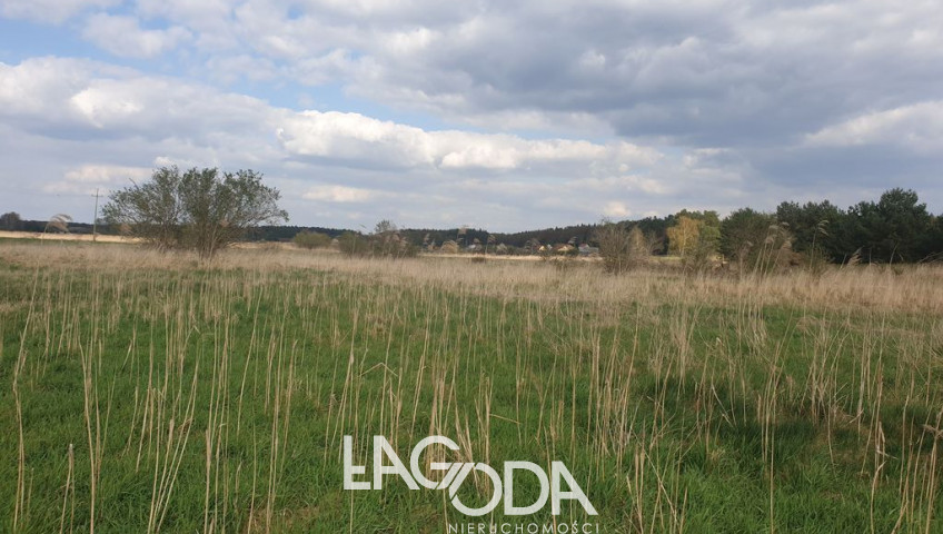 Działka Sprzedaż Łośno