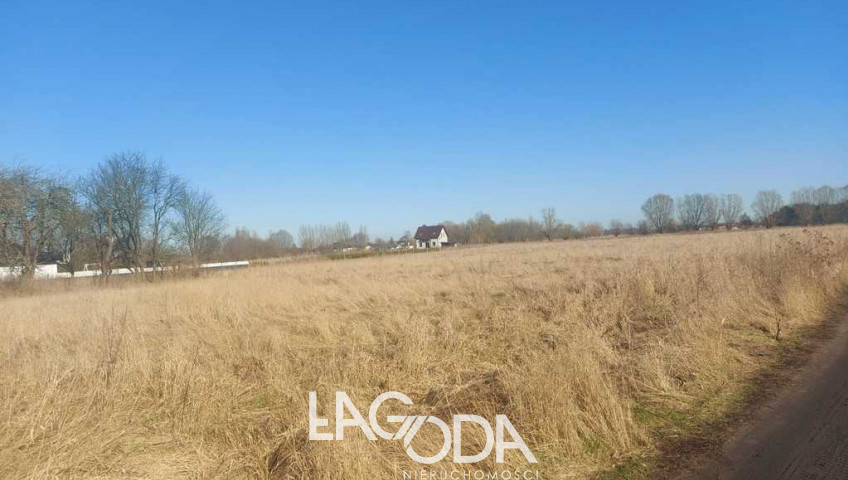 Działka Sprzedaż Łagodzin