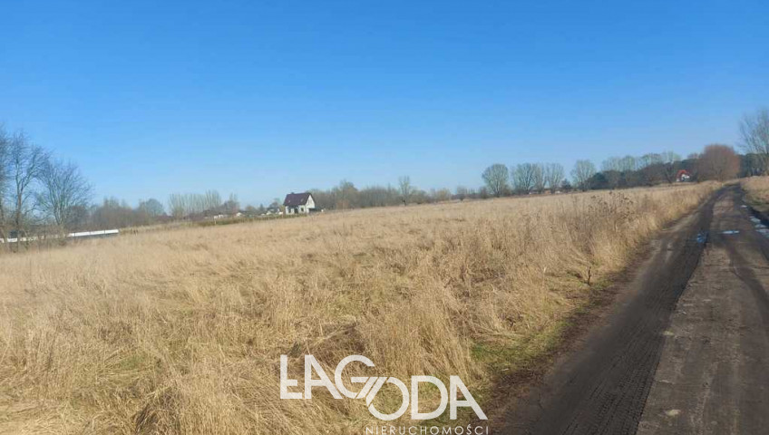Działka Sprzedaż Łagodzin