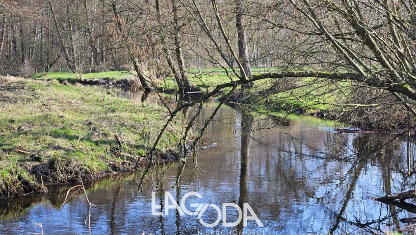 Działka Sprzedaż Górki Noteckie