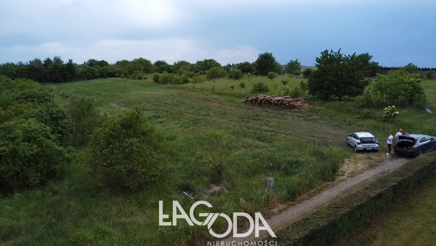 Działka Sprzedaż Myślibórz
