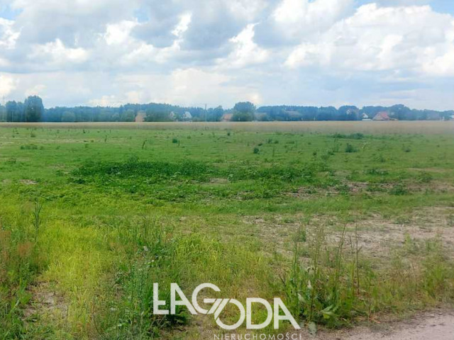 Działka Sprzedaż Dziersławice