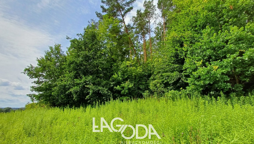 Działka Sprzedaż Jenin