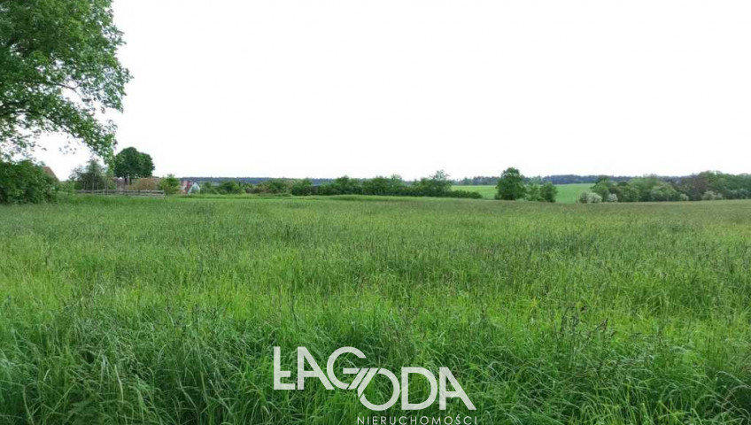 Działka Sprzedaż Świniary